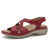 Plexi 250805-782H Red